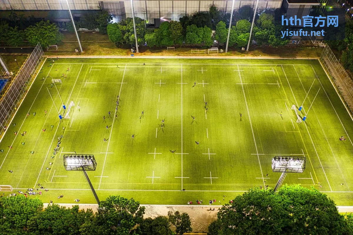 hth官方网动作电影封面